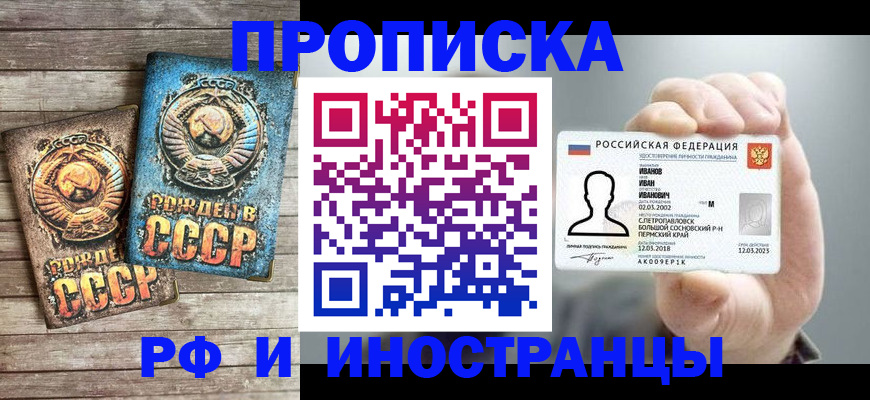 где прописаться в Нелидово